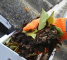 Gutter Cleaning
