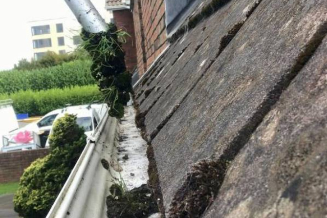 Regular gutter cleaning