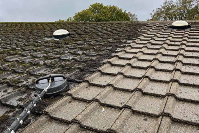 Extended Roof Lifespan