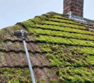 Roof Cleaning