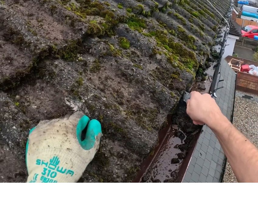 Roof Moss Removal